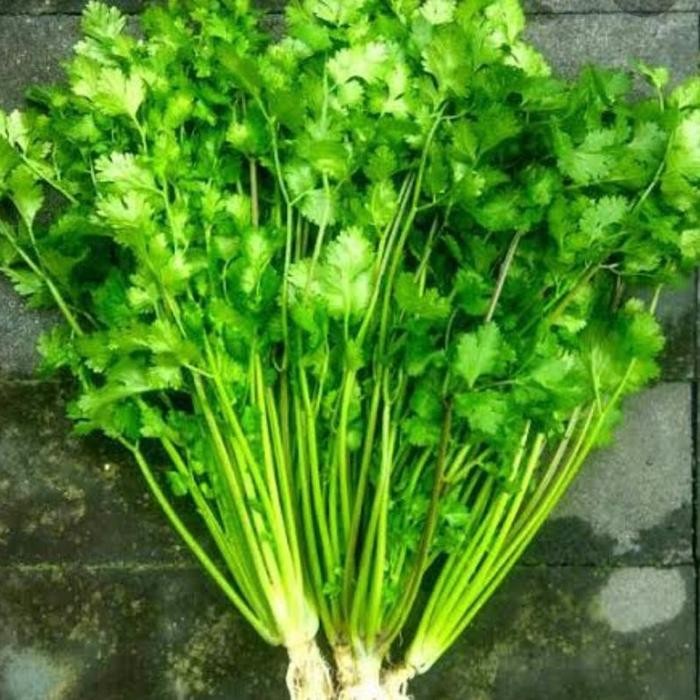 

Wansui/Daun Ketumbar 1 kg