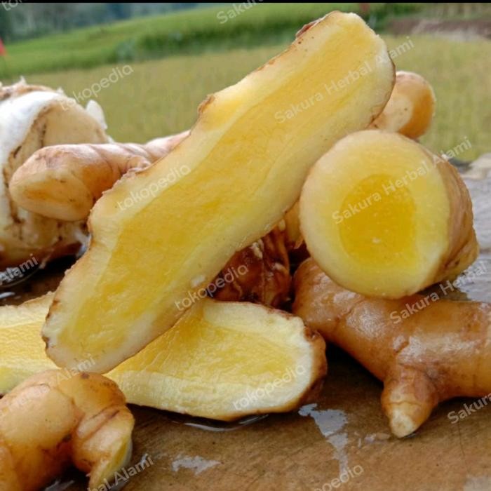 

kunyit mangga atau temu mangga segar 1kg ready