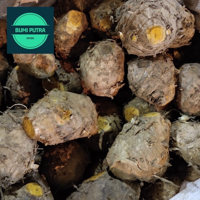 

Sahabatalam Temulawak segar kemasan 1 kg ⠀⠀⠀⠀⠀ KC