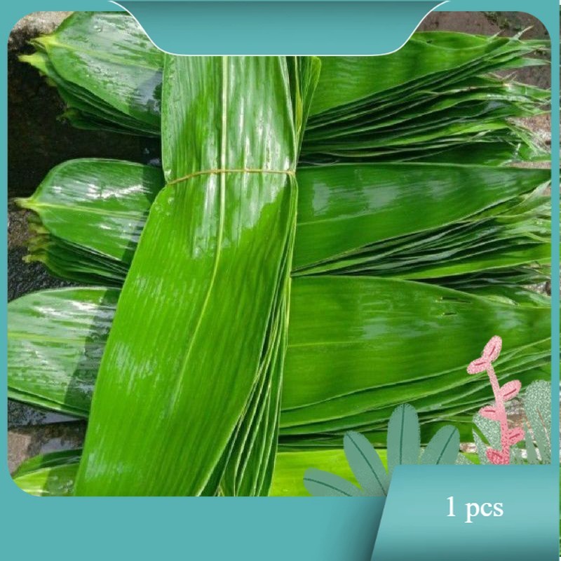 

Daun Bambu Daun Bambu Segar Bungkus Bakcang Ukuran Super - TOKO TANAMAN ABDI