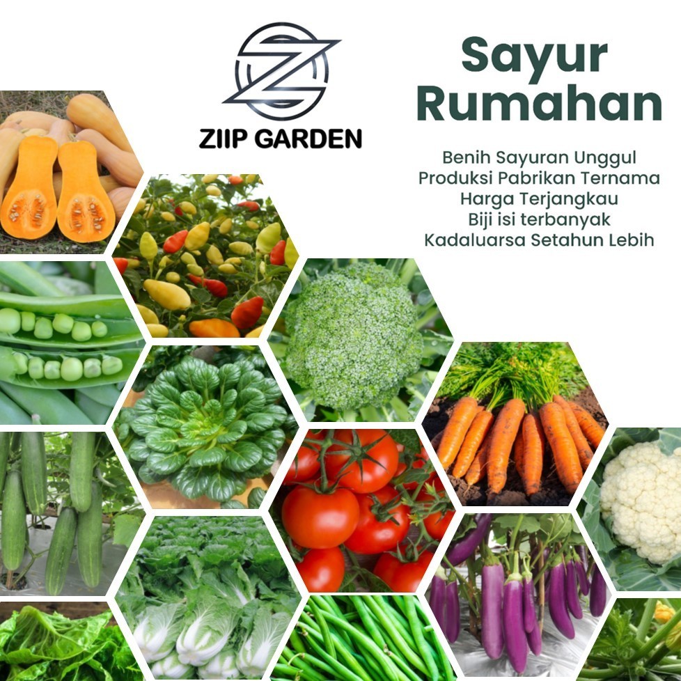 Bibit  Benih Sayur Sayuran Paket Lengkap Varian Unggulan
