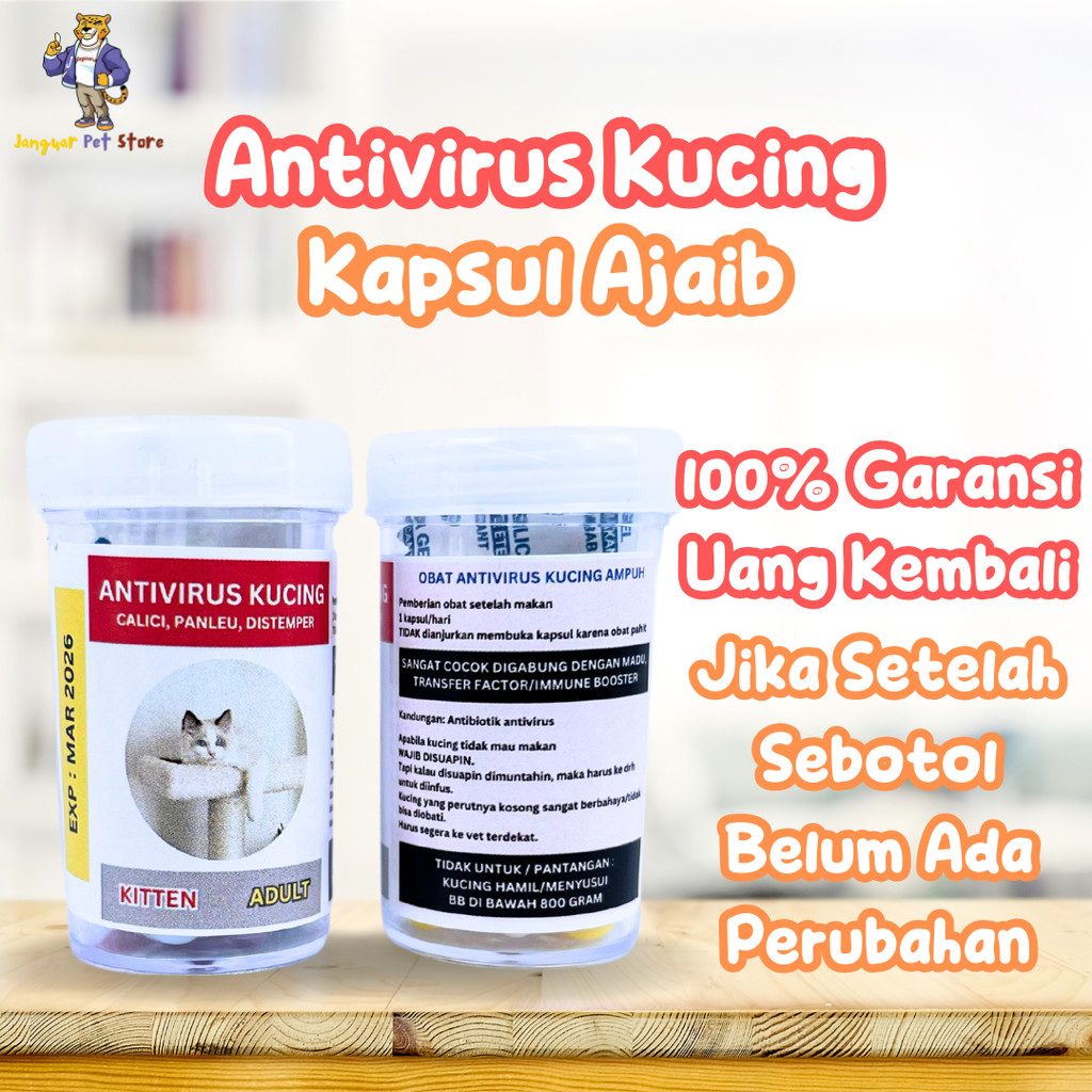 OBAT ANTIVIRUS PANLEU, CALICI, DISTEMPER, FIP OBAT VIRUS KUCING CALICI KAPSUL AJAIBP ANLEUKOPENIA DI
