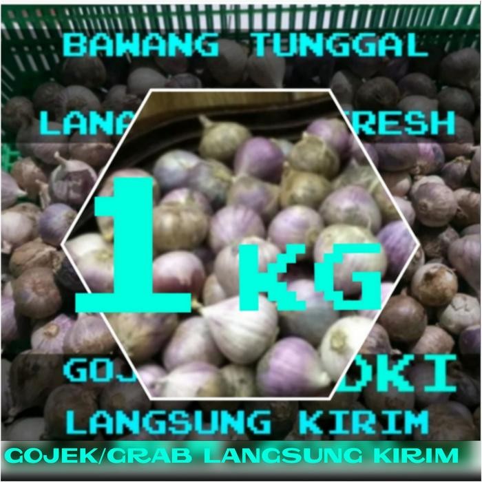 

bawang putih tunggal-bawang lanang herbal 1kg - Kecil