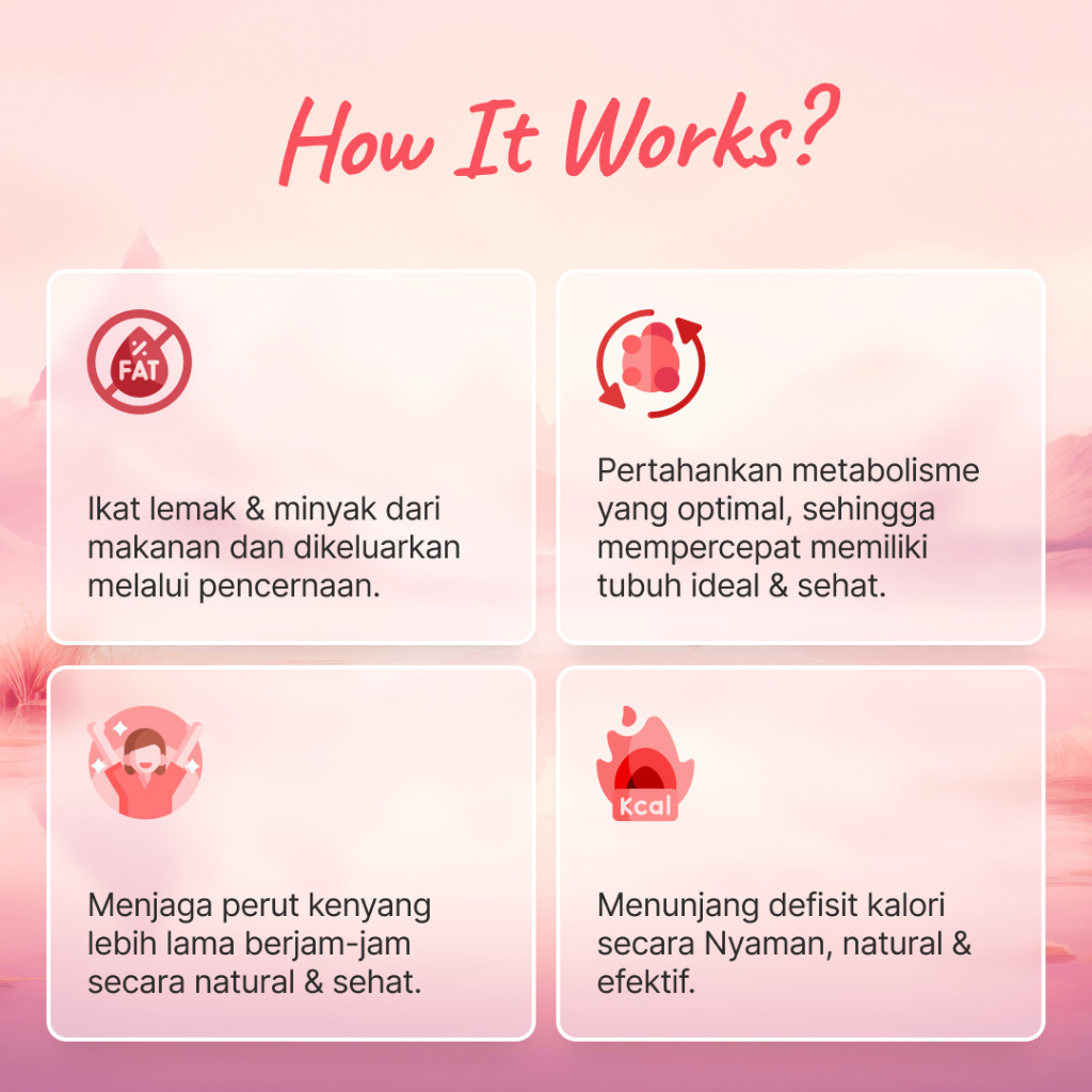 

Classica2106 Spencer'S Mealblend Multigrain 1 Box 15 Sachet