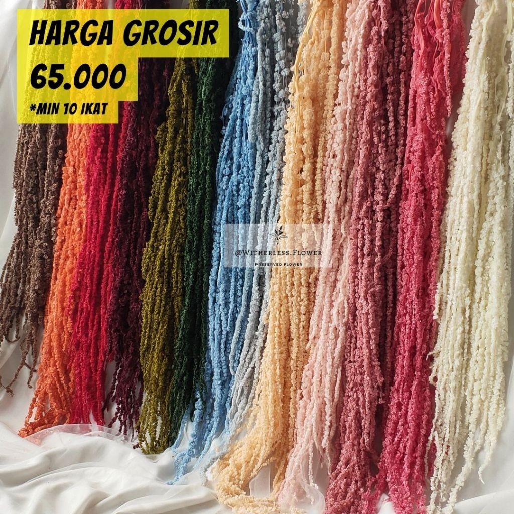 

1 Bunch Preserved Amaranthus / Dried Flower Awetan / Bunga Kering Awetan
