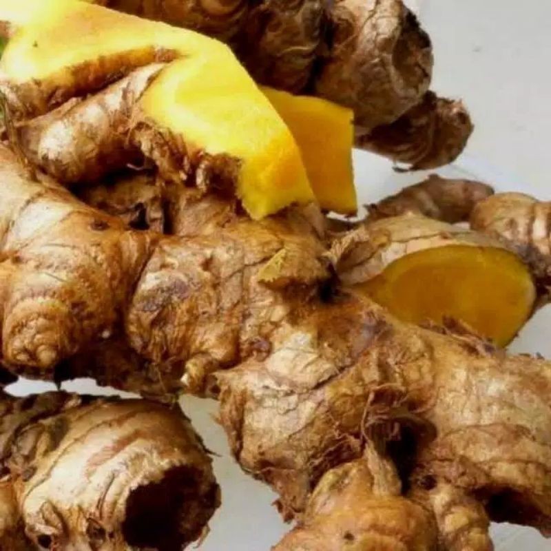 Sahabattani Bangle Segar Rimpang Bangle 500 Gram