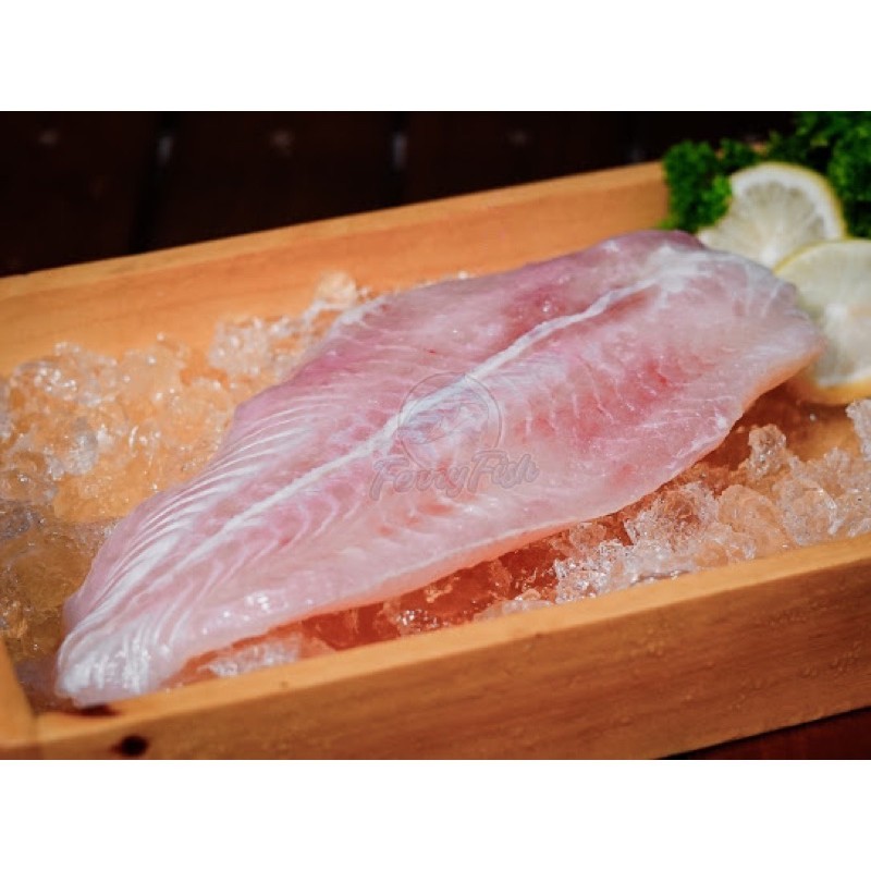 

Ikan Dori Fillet Premium NBL 1 Kg