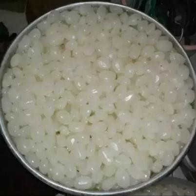 

Kolang kaling medan fresh 500gr