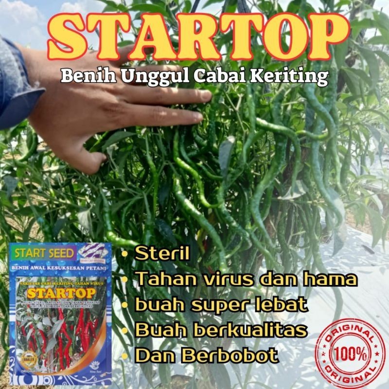Benih Cabe Keriting 10 Gram - Bibit Cabai Keriting Unggul Tahan Virus
