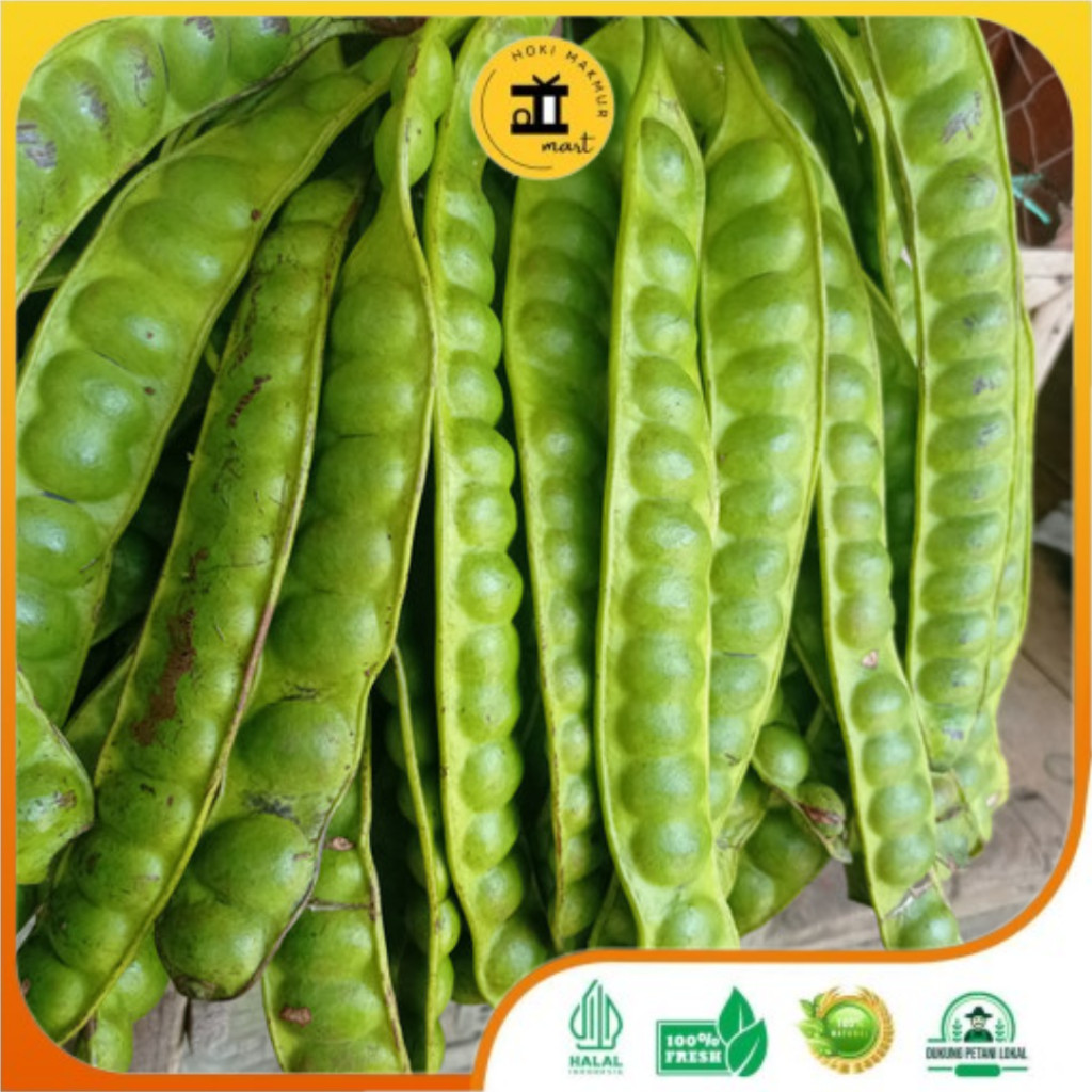 

BUAH PETAI 1 PAPAN PREMIUM | PETE PREMIUM 1 PAPAN