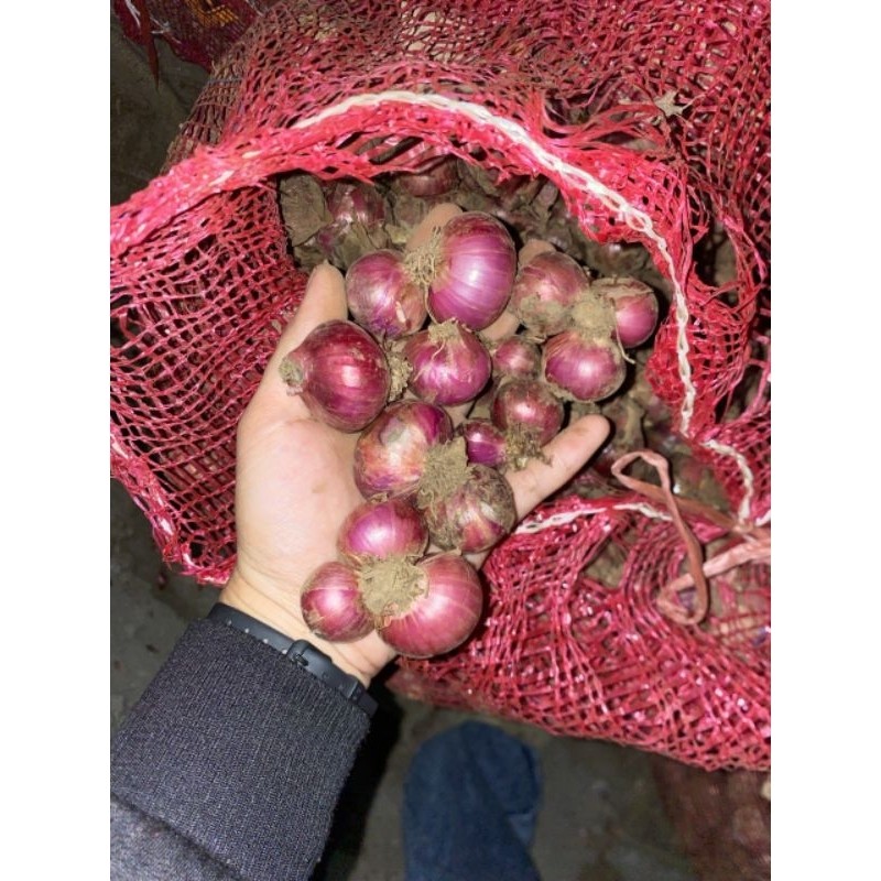 

(1000gr) BAWANG MERAH BALI KARET (K)