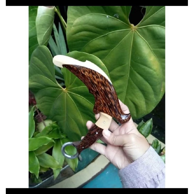 kerambit aren jumbo (ruyung)CO