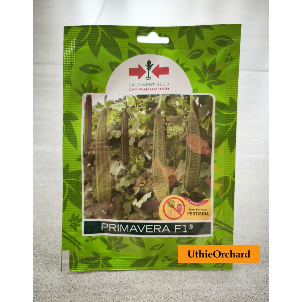 Benih Panah Merah - Oyong/Gambas Primavera F1 Isi 20 Benih