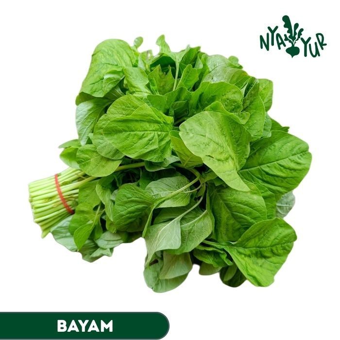 

INSTAN - Bayam Hijau segar per Ikat