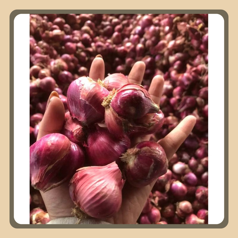 

BAWANG MERAH LOKAL kecil(1kg)