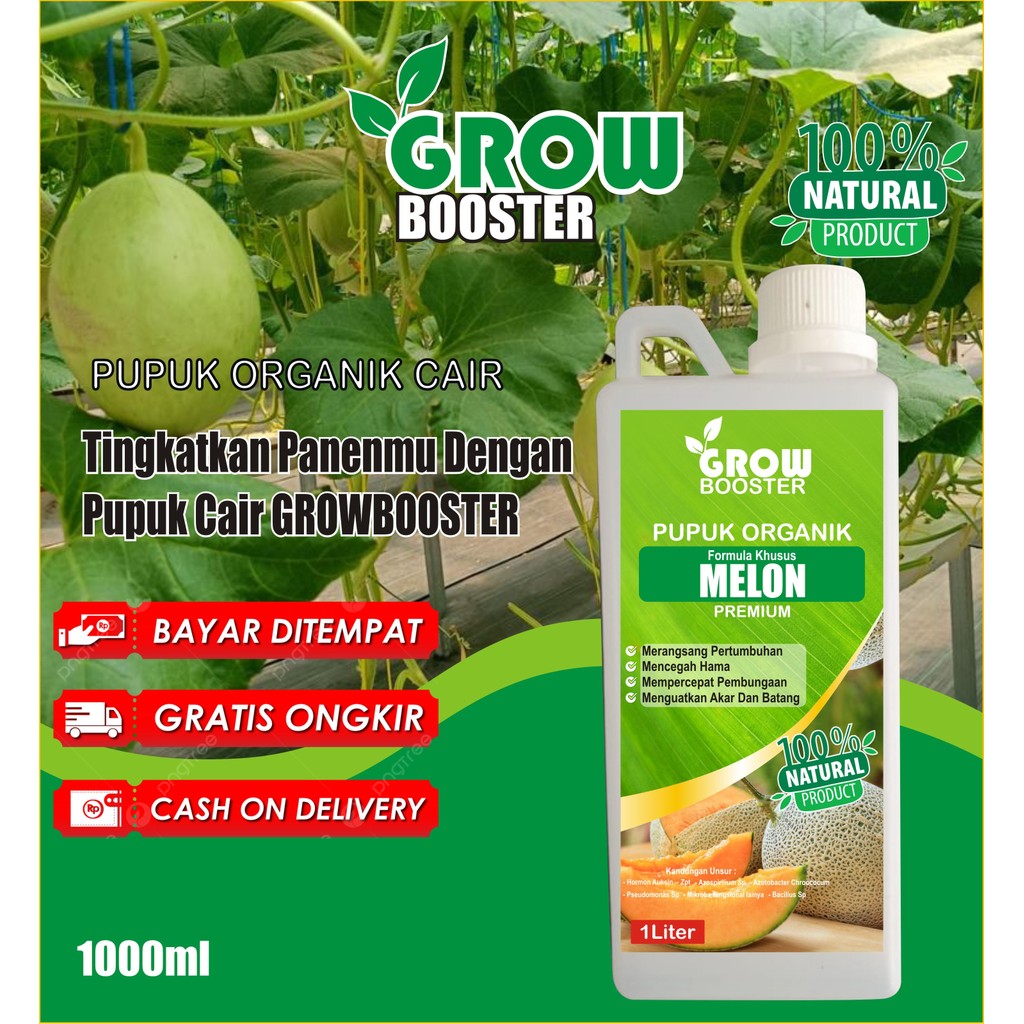 pupuk booster cair melon, Pupuk Pembesar Pemanis Buah Melon / Pupuk Untuk Penyubur Perangsang Tanama