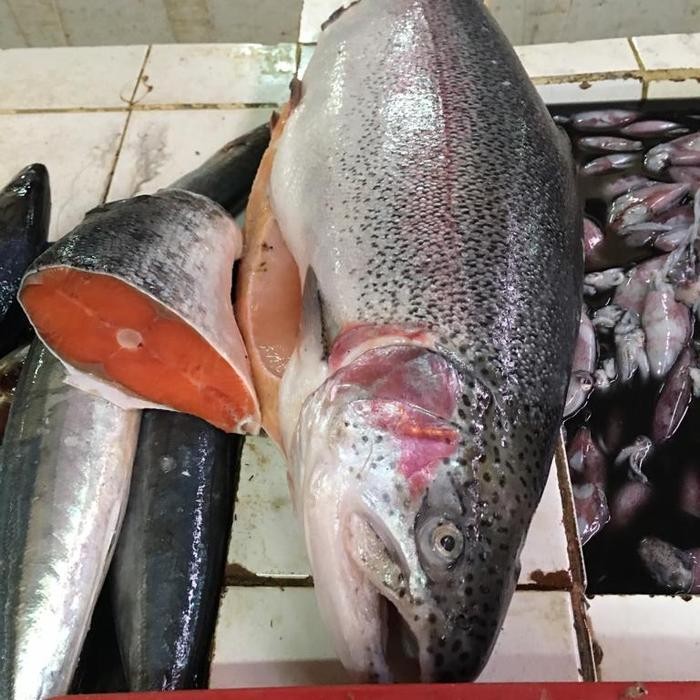 

Ikan Salmon 1 kg
