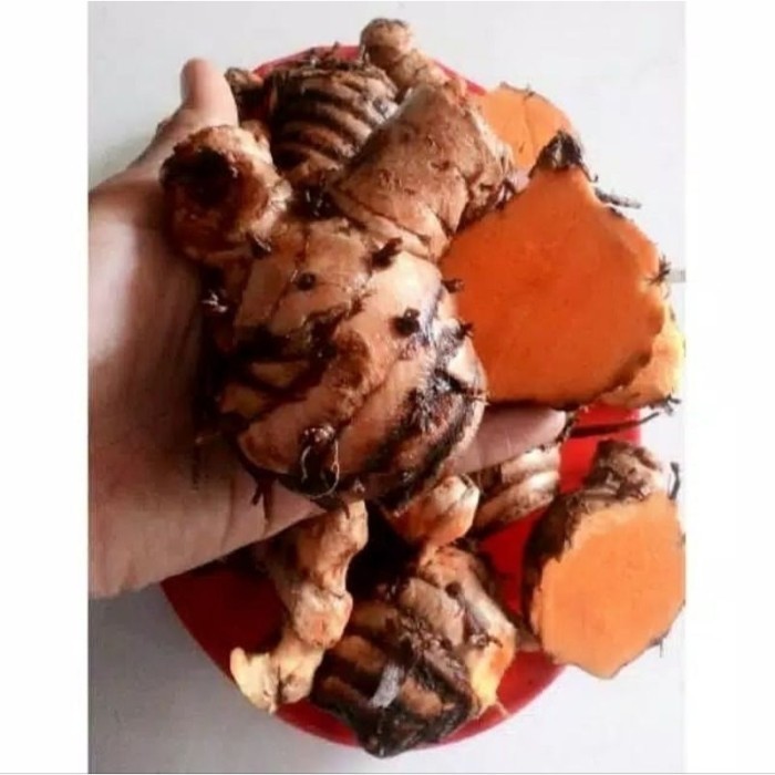 

promo Temulawak Segar, Kunyit Biang segar 1 Kg Bersih ready