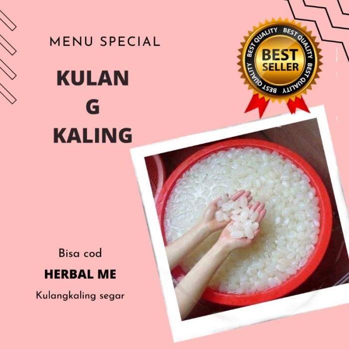 

COD HERBAL ME KOLANG KALING SEGAR MENU MAKANAN/KULANG KALENG CANGKALENG 500 GRM ASLI ORGANIK .