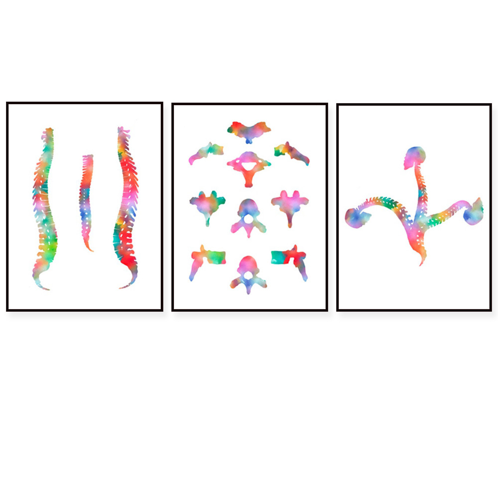 

Spine watercolor printing vertebrae anatomy art medical poster chiropractic clinic wall decoration plastic surgeon gift