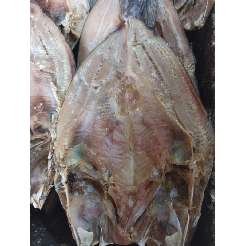 

asin jambal roti biasa no 2