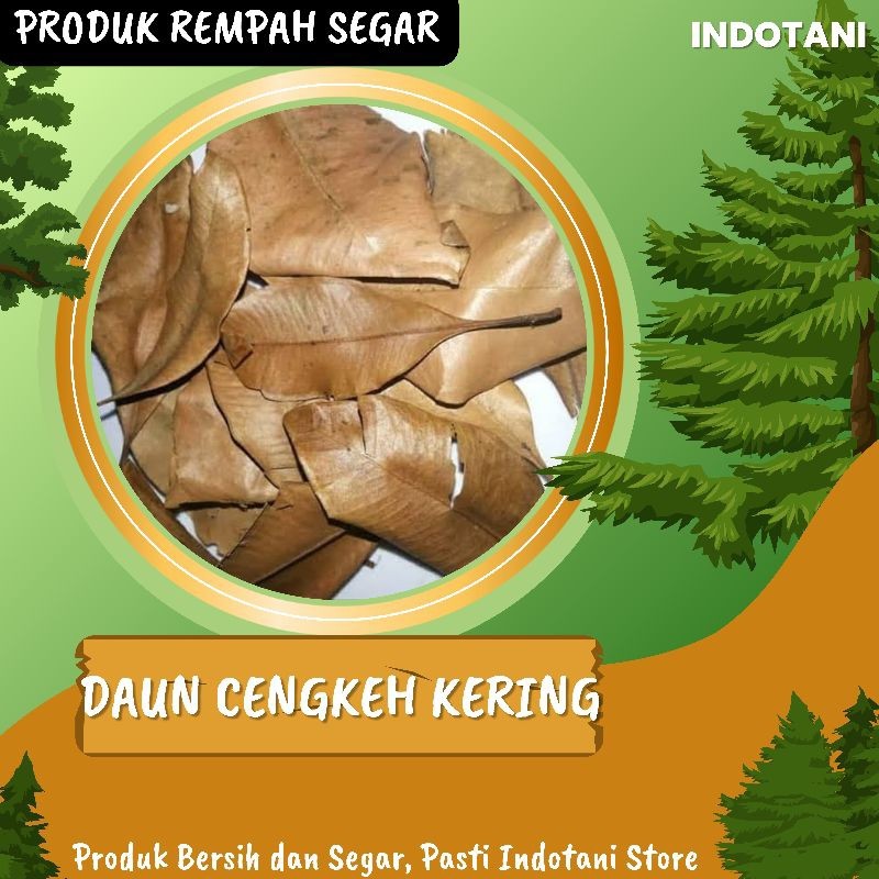 

BMB+ Daun Cengkeh Kering 250gr / Daun Cengkeh Kering Kualitas Terbaik / Daun Cengkeh Asli Gunung