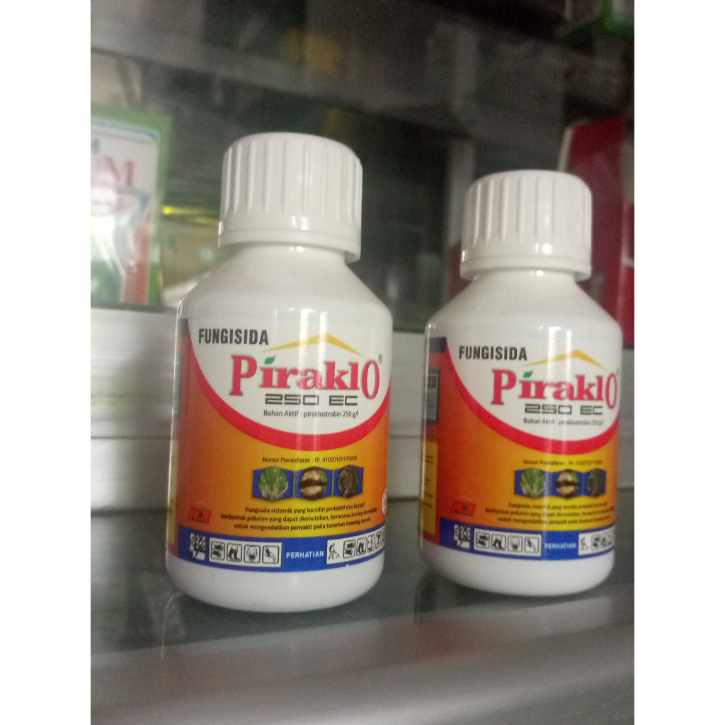 Fungisida - PIRAKLO 250ec - 100 ml (Piraklostrobin 250EC)