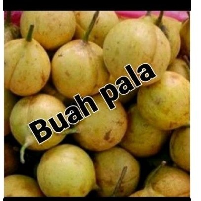 

promo buah pala sgar 1000 gr bahan manisan