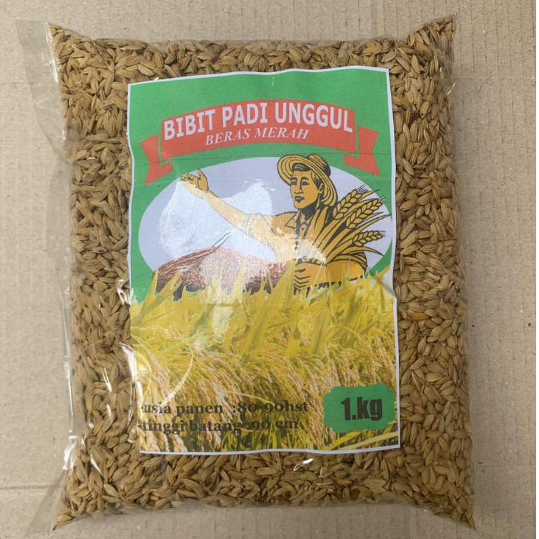 

Ready stok bibit padi beras merah super 1kg fresh