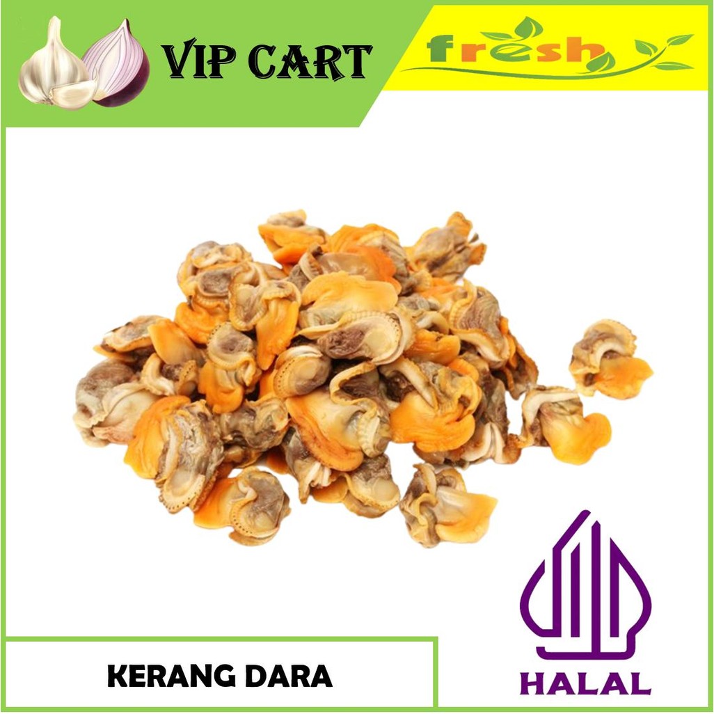 

KERANG DARA KUPAS FRESH - IKAN SEGAR