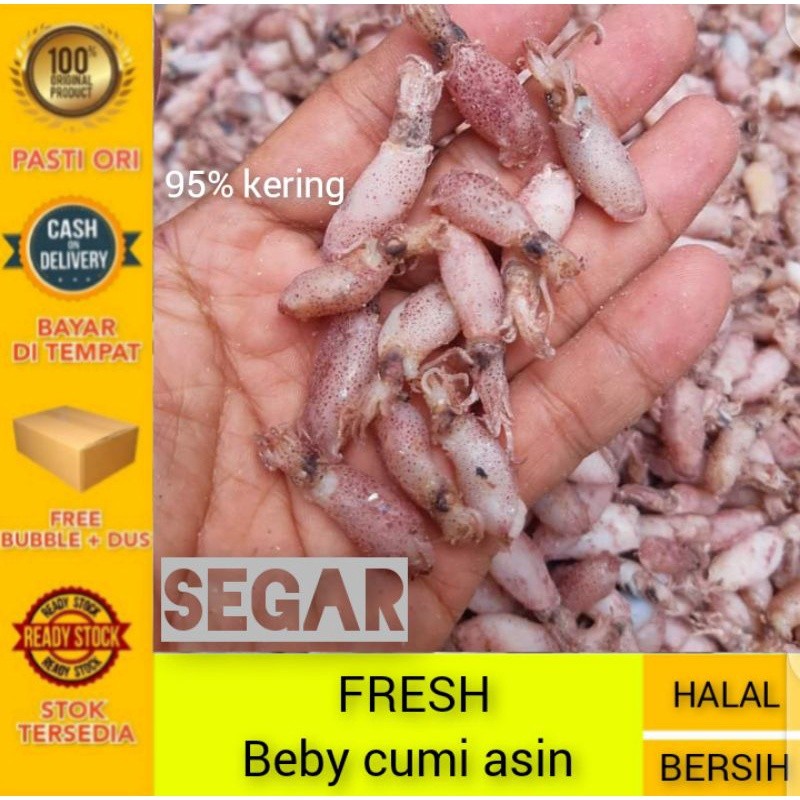 

Cumi beby 0,5cm - 2cm / Baby cumi asin 1kg/ Bahan sambal cumi