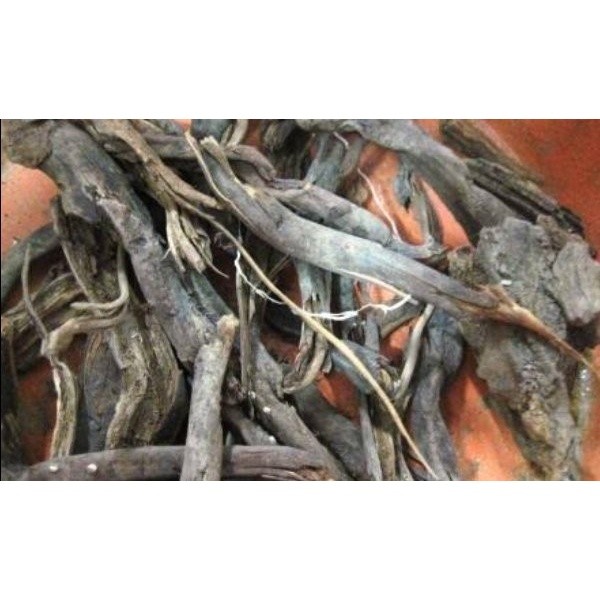 

Gelaskosong11 Promo AKAR AREN Kering 500 gram SA