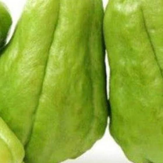 

Labusiam Besar 500gr