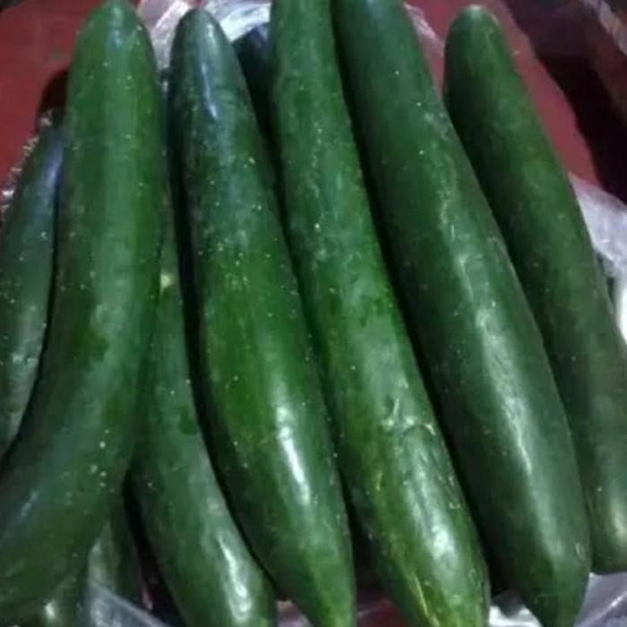 

Timun Jepang/Kyuri 500gr