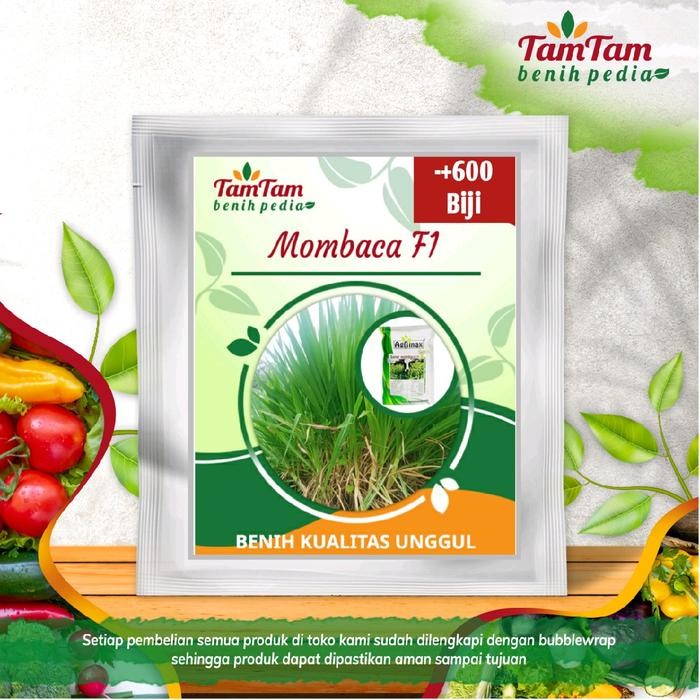 Agrimax Benih Mombaca F1 Panicum Maximum Pakan Ternak Sapi/Kambing (600biji)