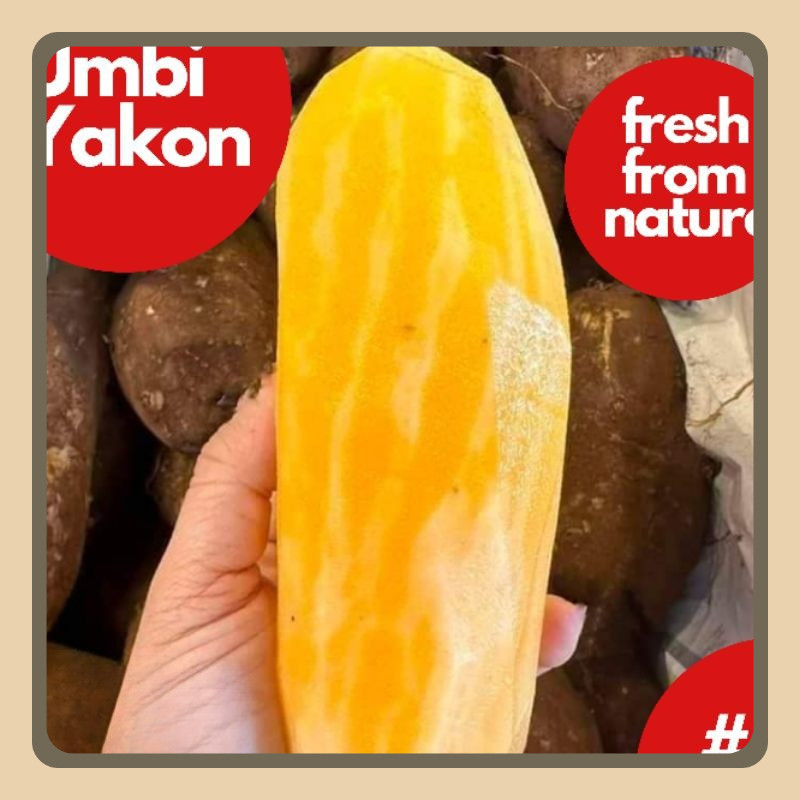 

Ubi Yakon