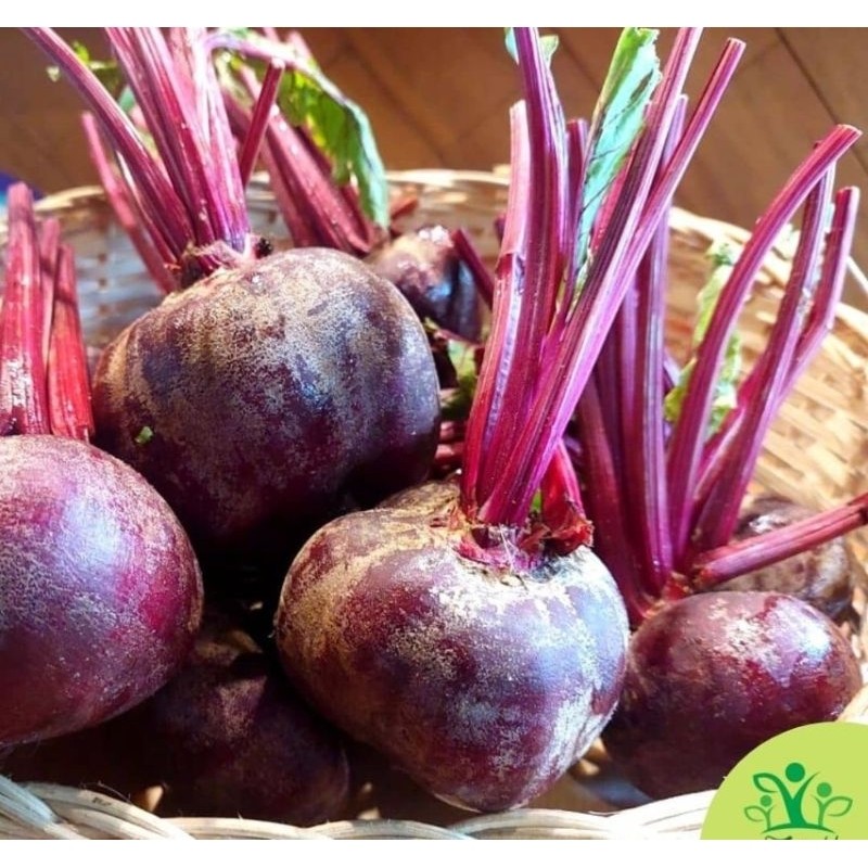 

paket 2 kg buah bit segar FRESH (2 KILO GRAM)