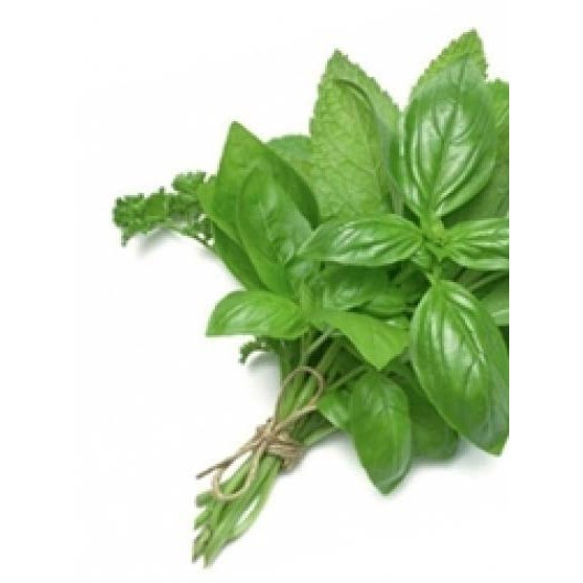 

Daun Kemangi / Daun Cemangi Ikat Kecil