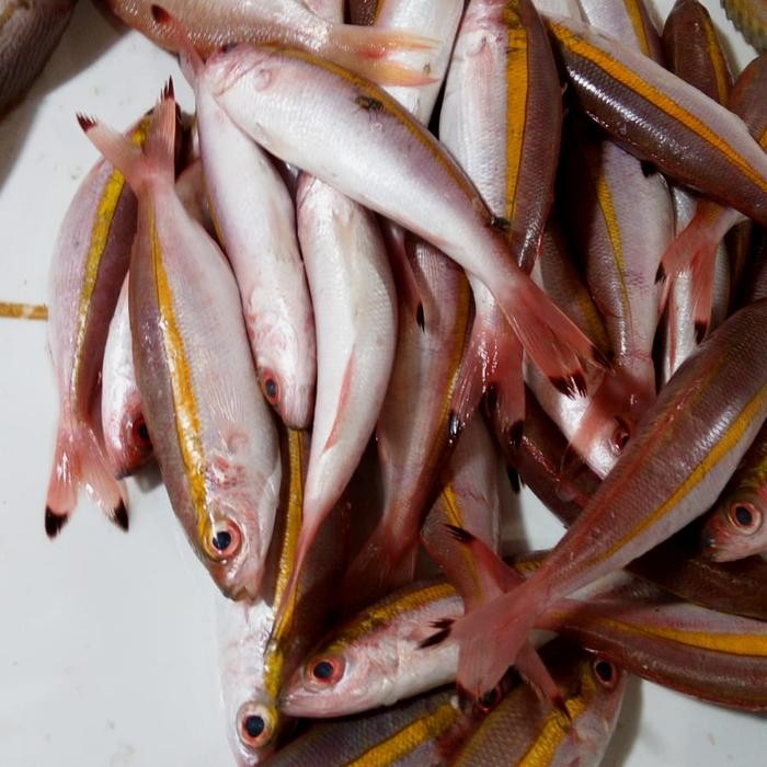 

Ikan Pisang-Pisang Merah 500gr