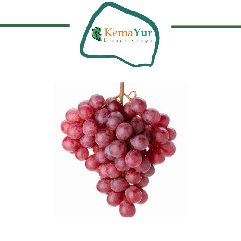

BUAH ANGGUR MERAH 250GR