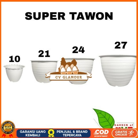ANEKA POT BEBAS PILIH Bibit Tanaman Super Unggul CV GLAMOUR