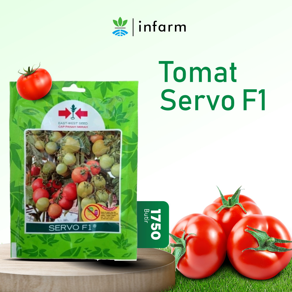 INFARM - Bibit Tomat Servo F1 Benih Tomat Servo F1 1750 Butir Original, Benih Buah Tomat Servo Bibit