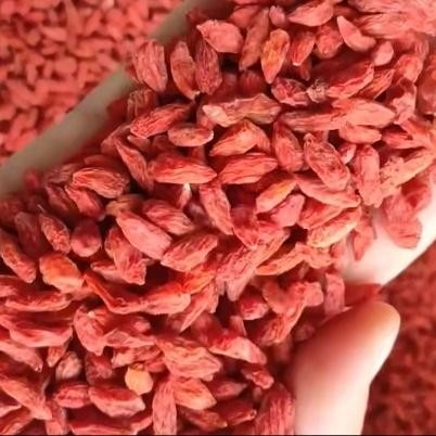 

Sale goji berry / gojiberry , kici 500g Happy Shopping
