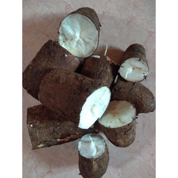 

singkong mentah segar 1kg