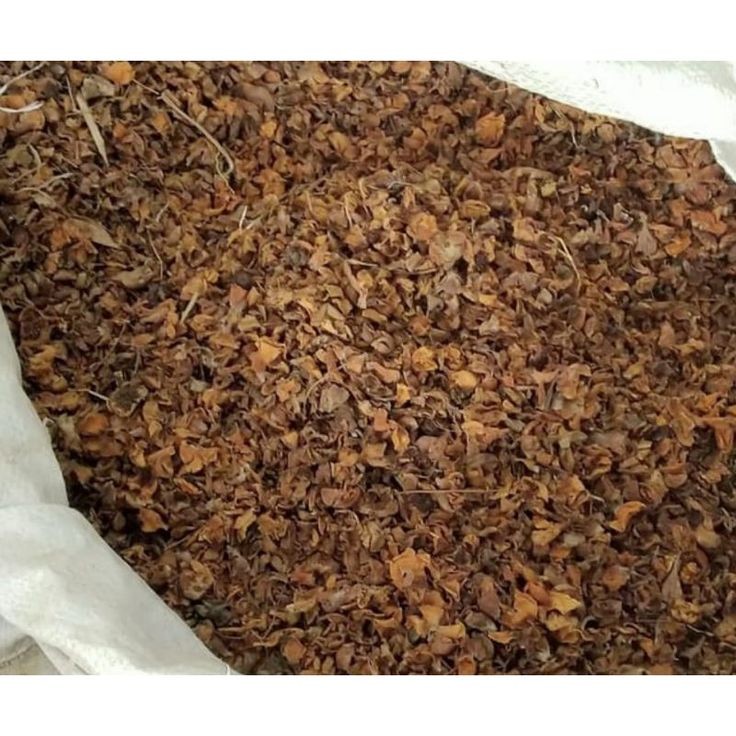 

MURAH Bunga Puspa Kering 500gr