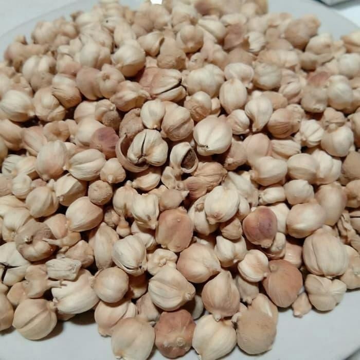 

promo BUAH KAPULAGA KERING ready