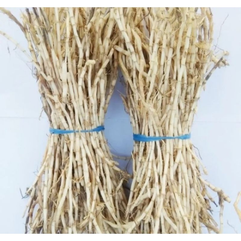 

Akar alang alang segar dan kering 1 kg