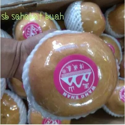 

BUAH PIR SINGO / PEAR KOREA WANGSAN