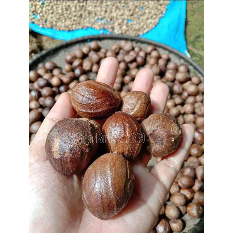 

Buah Pala Bulat 100gr