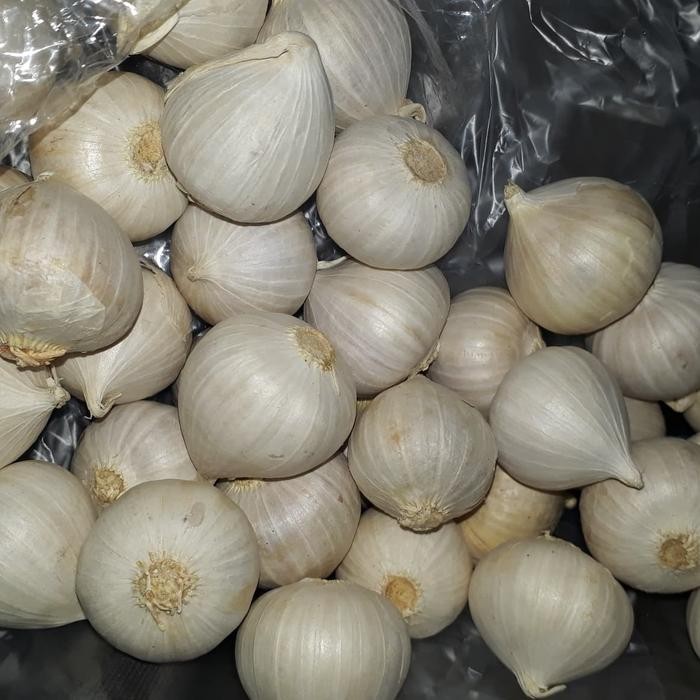 

Bawang Putih Tunggal Super / Bawang Lanang 500gram Herbal - 500 gram